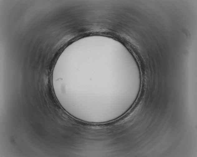 X0000113361257200910061032