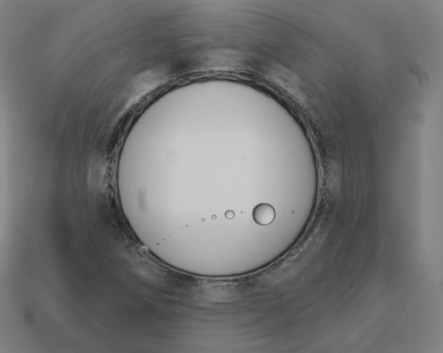 X0000113361258200910061032