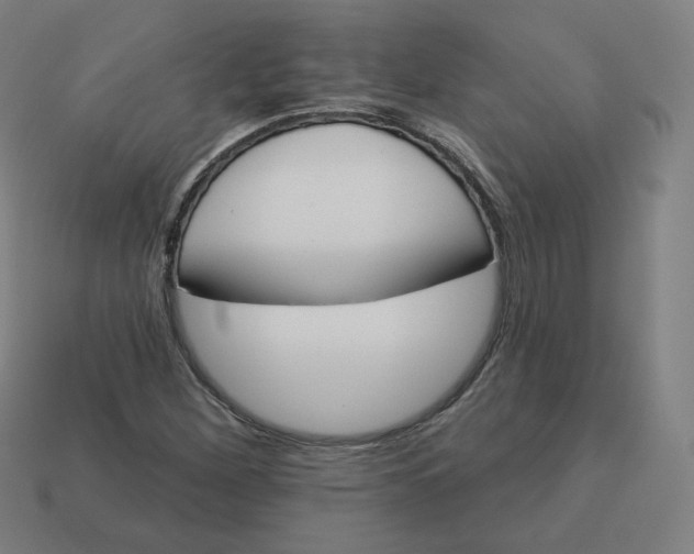 X0000113361260200910061032