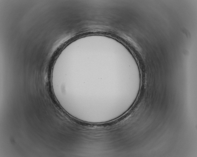 X0000113361261200910061032