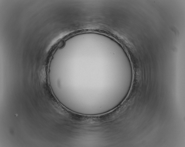 X0000113361262200910061032