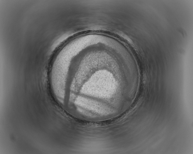 X0000113361263200910061032