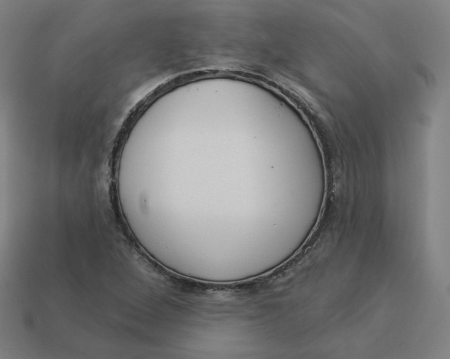 X0000113361264200910061032