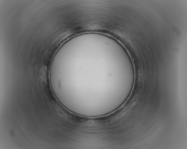 X0000113361265200910061032