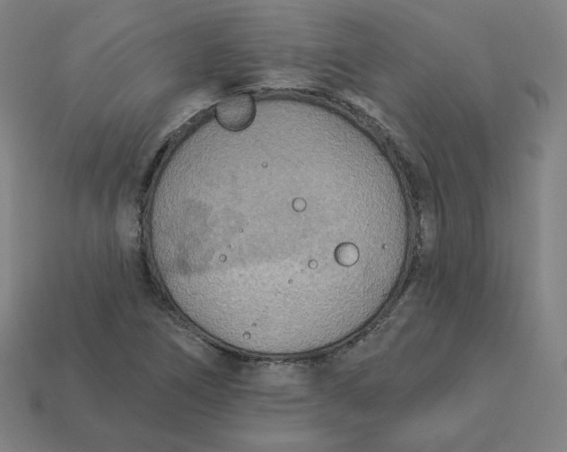 X0000113361266200910061032