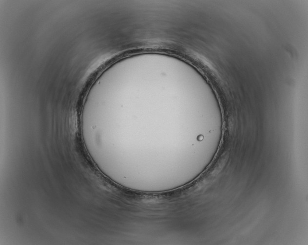 X0000113361267200910061032