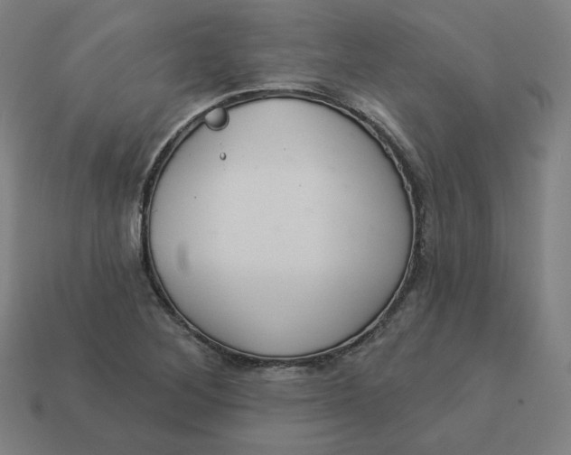 X0000113361268200910061032