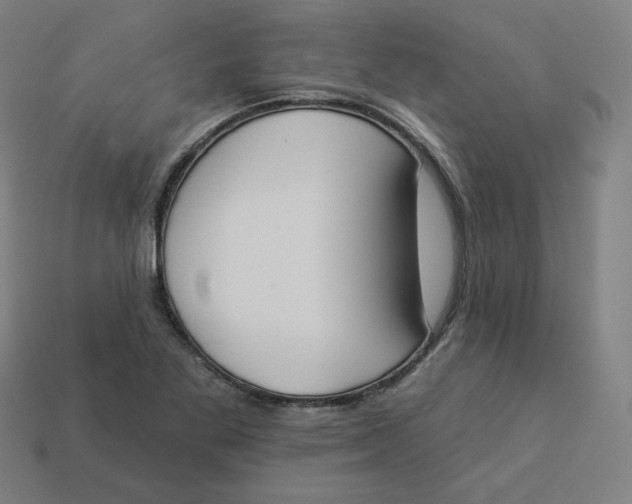 X0000113361269200910061032