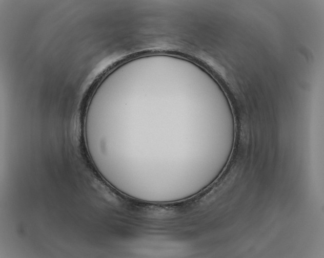 X0000113361270200910061032