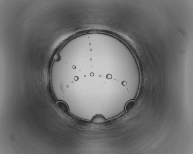 X0000113361271200910061032