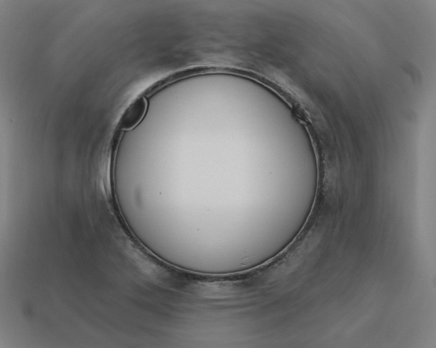 X0000113361272200910061032