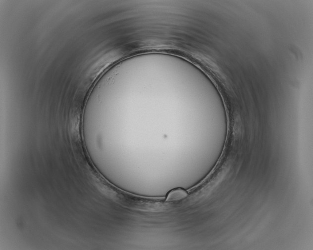 X0000113361273200910061032