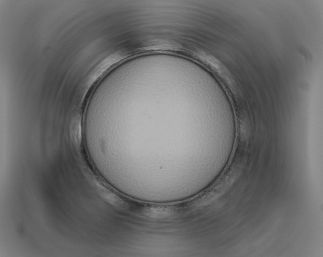 X0000113361274200910061032