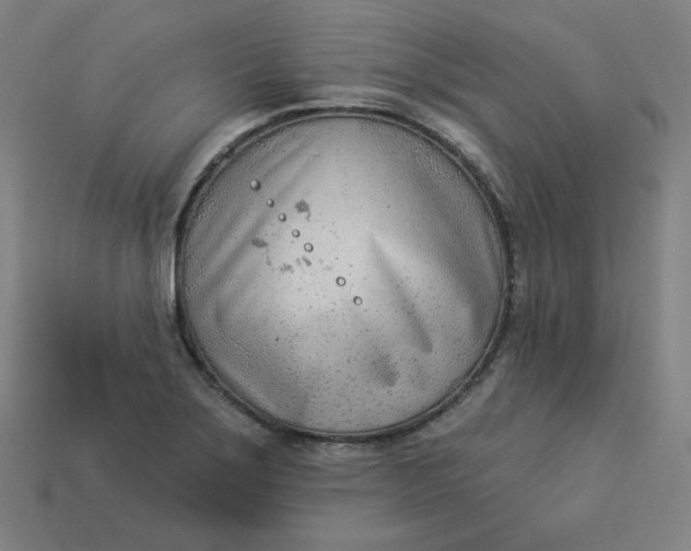 X0000113361275200910061032