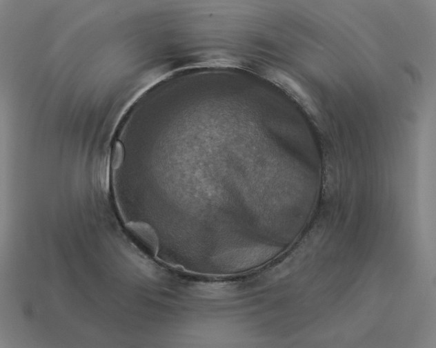 X0000113361276200910061032