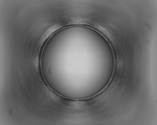 X0000113361277200910061032