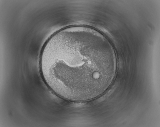 X0000113361278200910061032