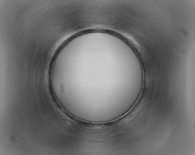 X0000113361279200910061032