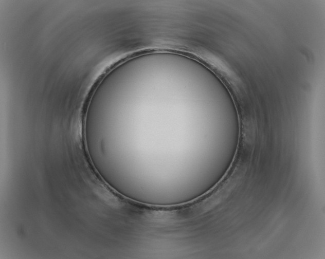 X0000113361280200910061032