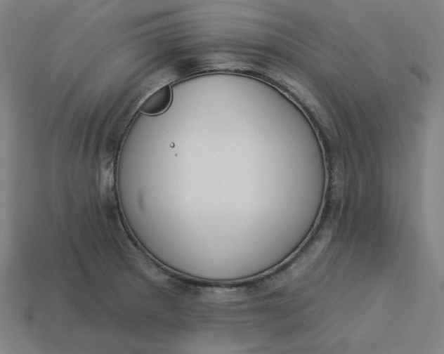 X0000113361281200910061032