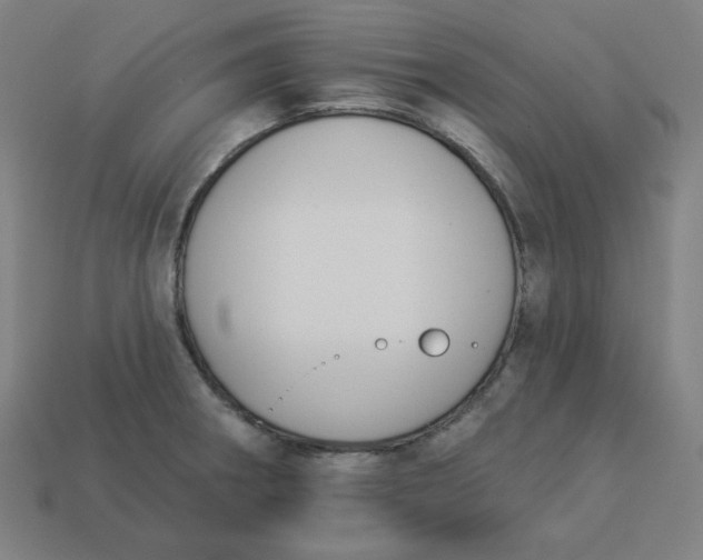 X0000113361282200910061032