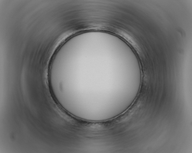 X0000113361283200910061032