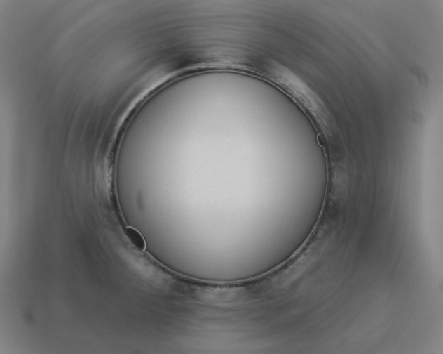 X0000113361284200910061032