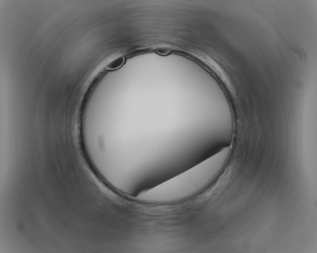 X0000113361285200910061032