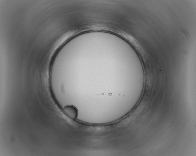 X0000113361286200910061032