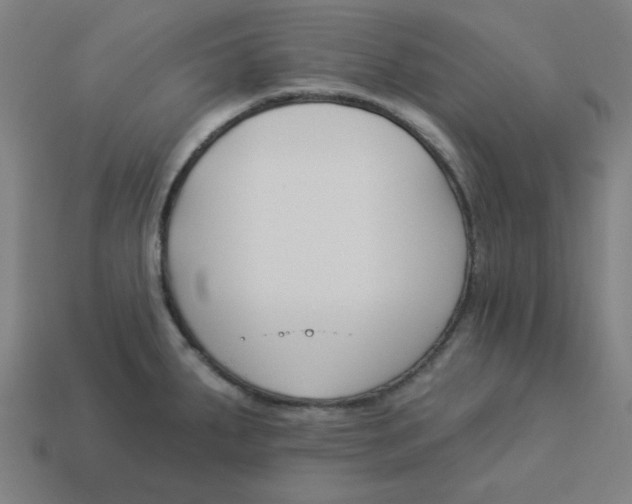 X0000113361287200910061032