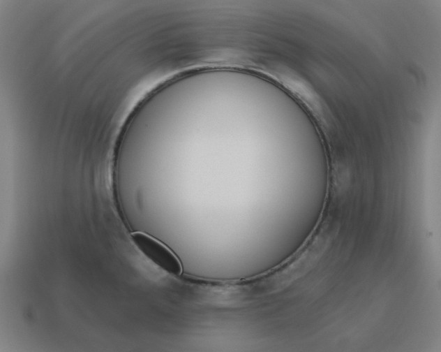 X0000113361288200910061032