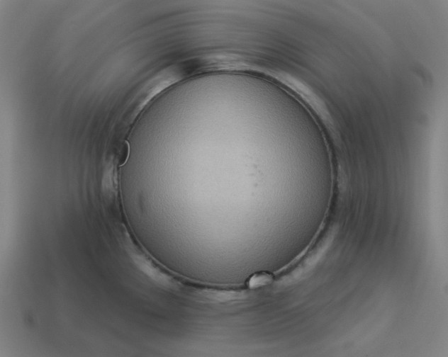 X0000113361289200910061032