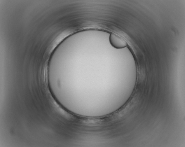 X0000113361290200910061032