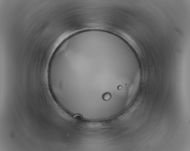 X0000113361291200910061032