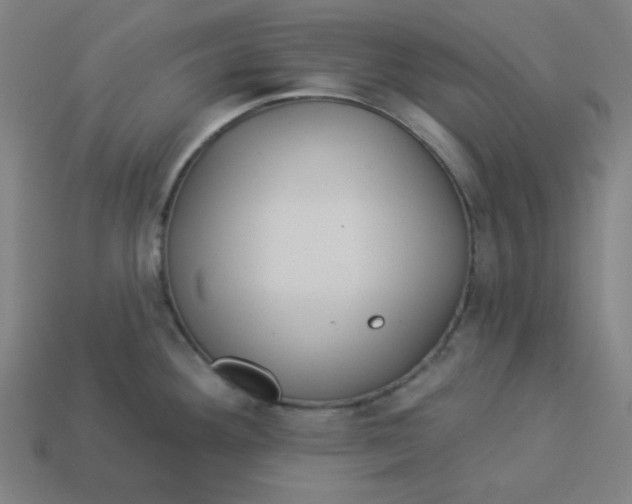 X0000113361292200910061032