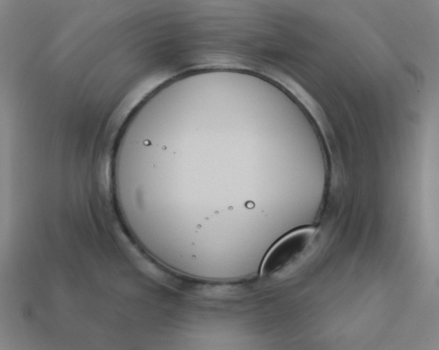 X0000113361293200910061032