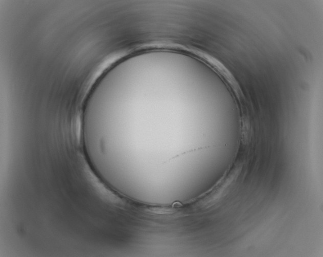 X0000113361295200910061032