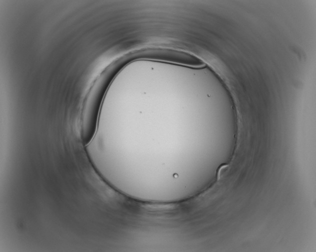 X0000113361296200910061032