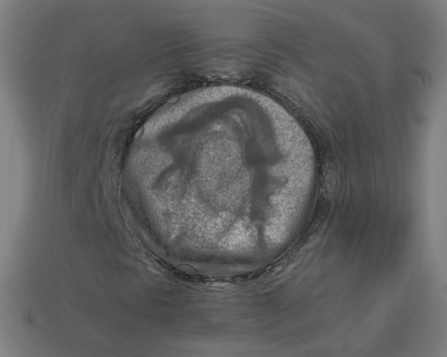 X0000113361297200910061031