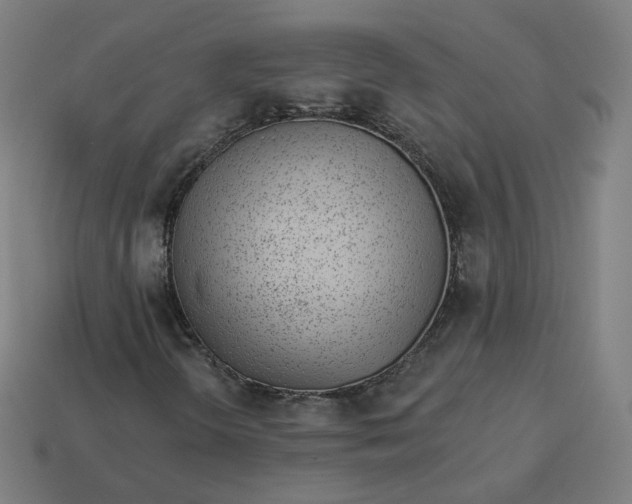 X0000113361298200910061031