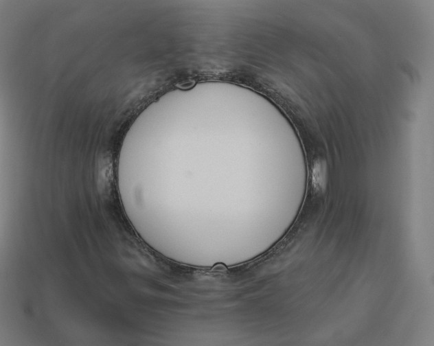 X0000113361299200910061031