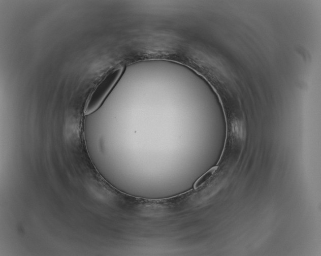 X0000113361300200910061031