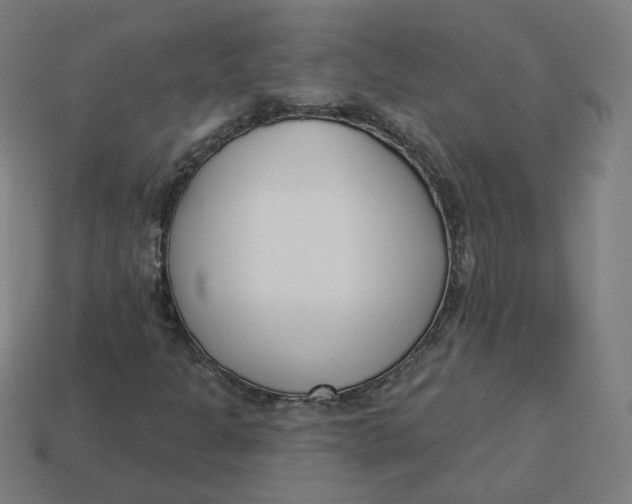 X0000113361301200910061031