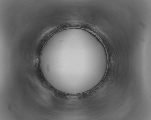 X0000113361302200910061031