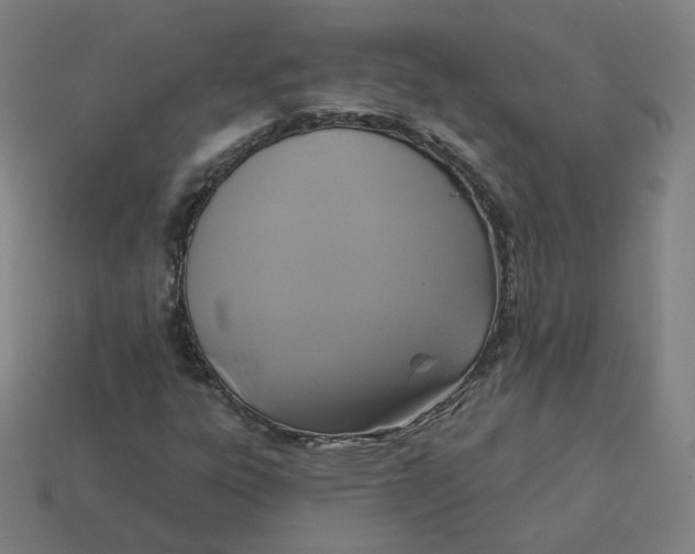 X0000113361303200910061031