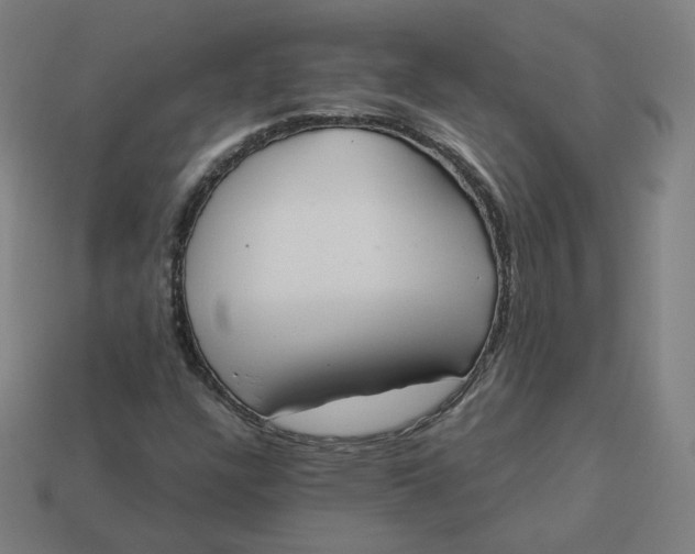 X0000113361304200910061031