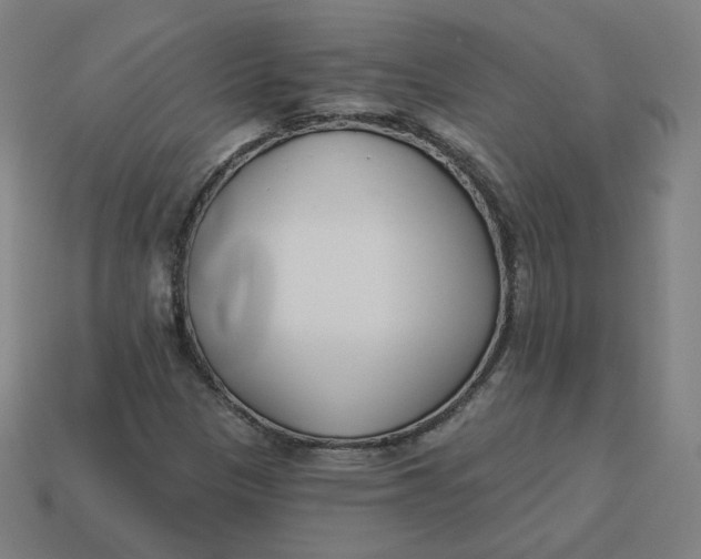 X0000113361305200910061031