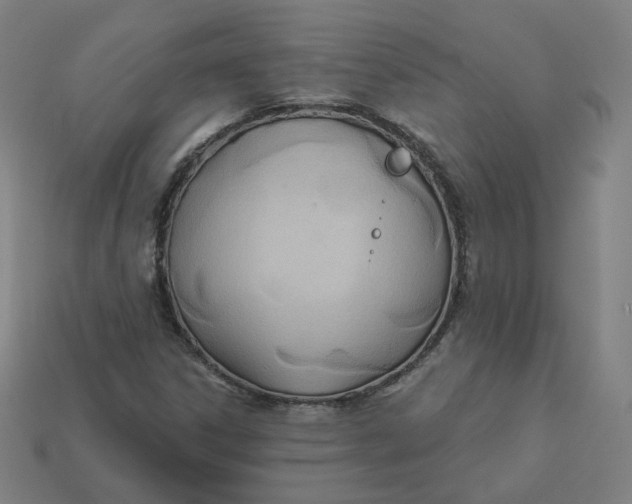 X0000113361306200910061031