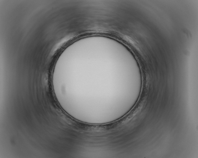 X0000113361307200910061031