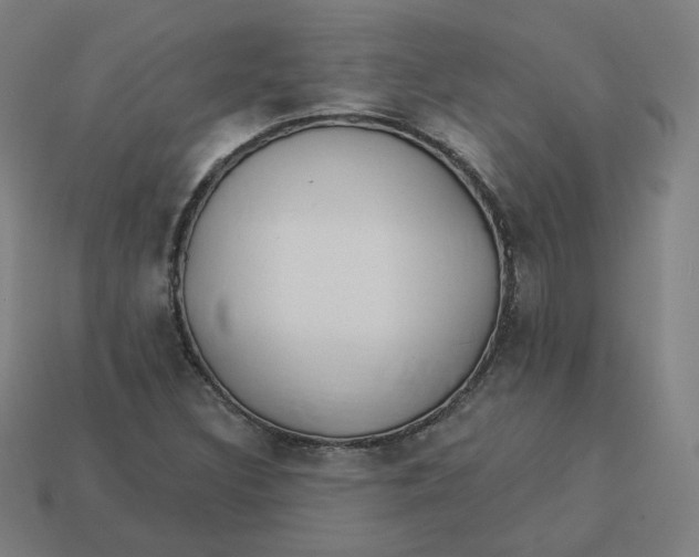 X0000113361308200910061031